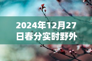 春分时节野外高清图片，自然之美的瞬间捕捉