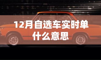 12月自选车实时单详解