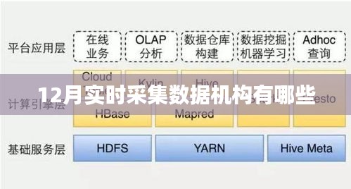 实时采集数据机构大盘点，揭秘12月最新名单