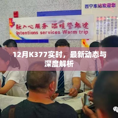 12月K377实时动态与深度解析报告