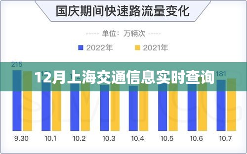 上海交通实时查询系统，掌握最新交通信息