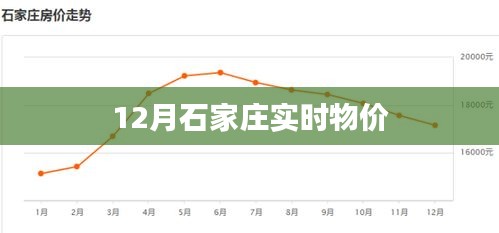 石家庄十二月实时物价概况