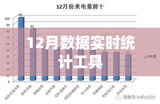 实时统计工具，掌握数据动态，洞悉市场趋势