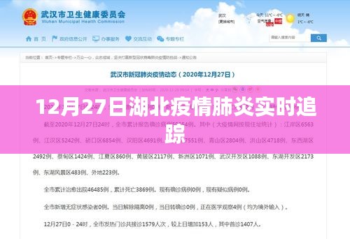 湖北疫情肺炎实时追踪报告，最新数据发布