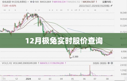 极兔速递股价实时查询（最新数据）