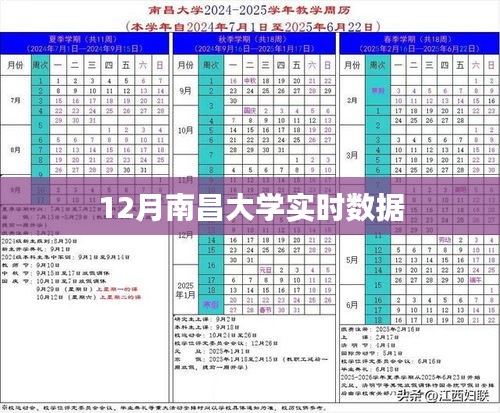 南昌大学最新实时数据发布