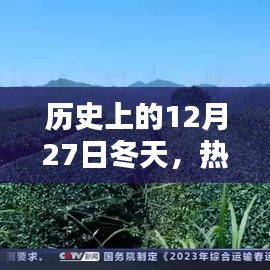 2024年12月31日