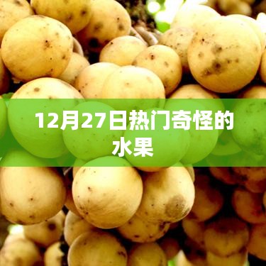 12月27日奇特水果盘点