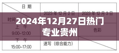 贵州热门专业趋势解析（2024年12月）