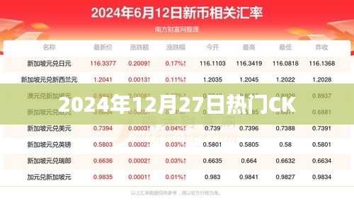 CK潮流趋势，2024年12月27日热门单品解析