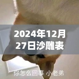 2024年爆笑沙雕表情包视频免费下载