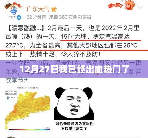 12月27日热门事件回顾，揭秘出血热背后的真相