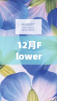 12月Flower成热门焦点