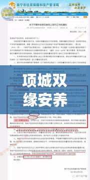 项城双缘安养院最新价格表揭秘，详细解读与优惠信息一网打尽