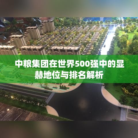 中粮集团在世界500强中的显赫地位与排名解析