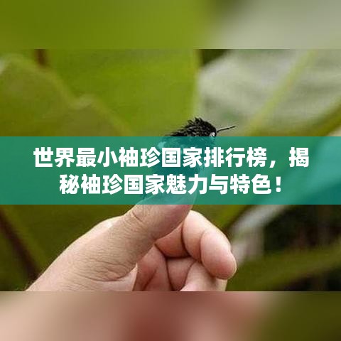 世界最小袖珍国家排行榜，揭秘袖珍国家魅力与特色！