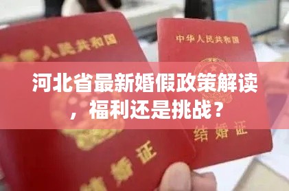 河北省最新婚假政策解读，福利还是挑战？