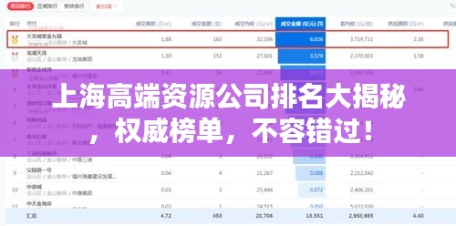 上海高端资源公司排名大揭秘，权威榜单，不容错过！