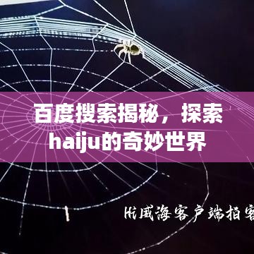 百度搜索揭秘，探索haiju的奇妙世界