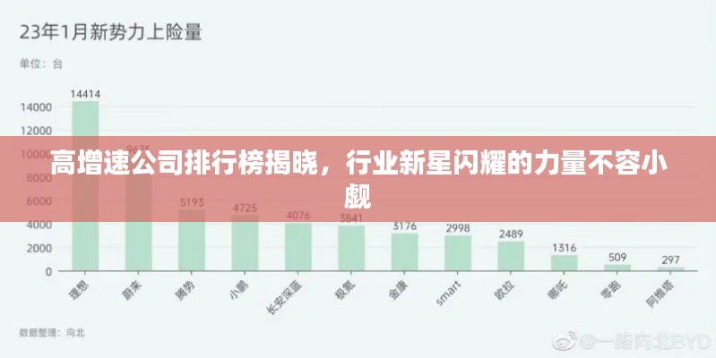 高增速公司排行榜揭晓，行业新星闪耀的力量不容小觑