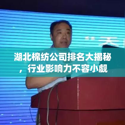 湖北棉纺公司排名大揭秘，行业影响力不容小觑