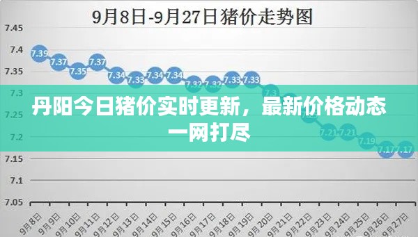 丹阳今日猪价实时更新，最新价格动态一网打尽