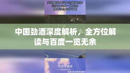 中国劲酒深度解析，全方位解读与百度一览无余