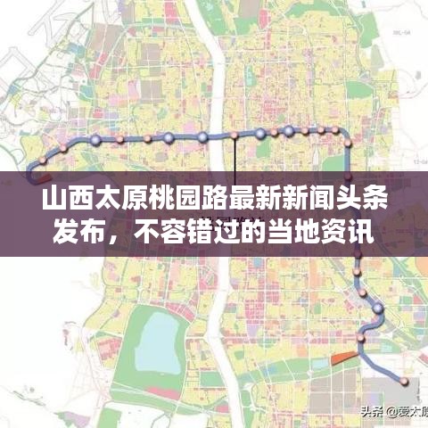 山西太原桃园路最新新闻头条发布，不容错过的当地资讯