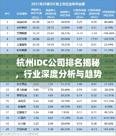 杭州IDC公司排名揭秘，行业深度分析与趋势解读