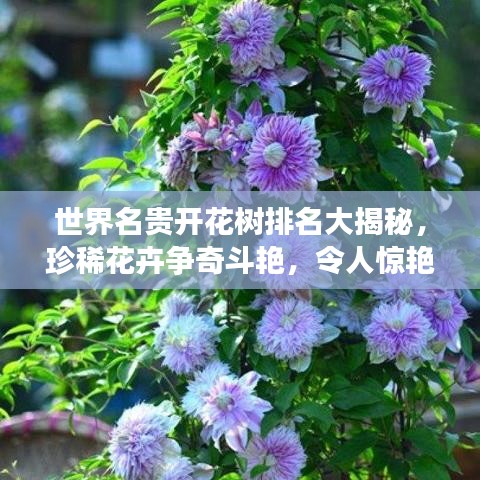 世界名贵开花树排名大揭秘，珍稀花卉争奇斗艳，令人惊艳！