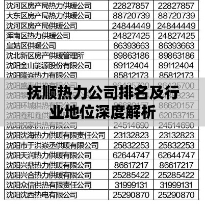 抚顺热力公司排名及行业地位深度解析