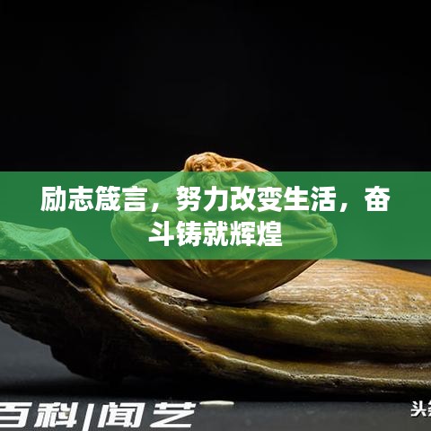 励志箴言，努力改变生活，奋斗铸就辉煌