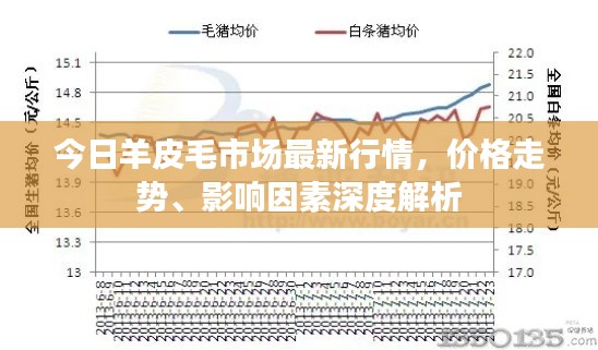 今日羊皮毛市场最新行情，价格走势、影响因素深度解析