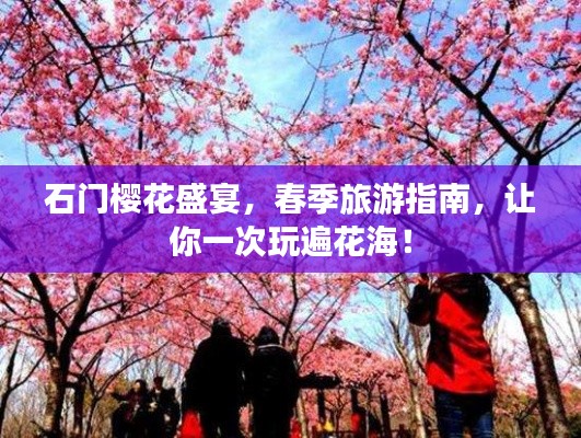 石门樱花盛宴，春季旅游指南，让你一次玩遍花海！