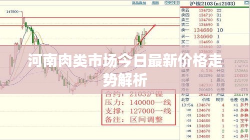 河南肉类市场今日最新价格走势解析