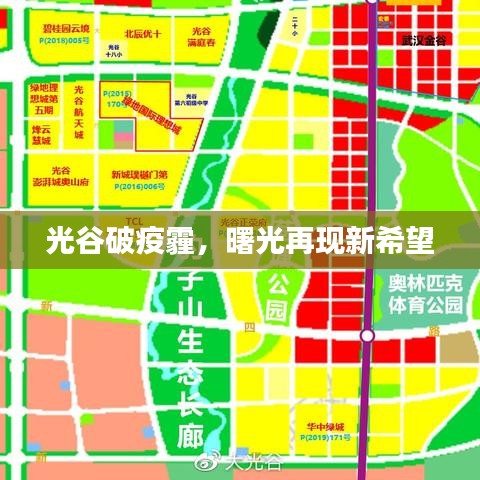 光谷破疫霾，曙光再现新希望
