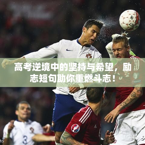 高考逆境中的坚持与希望，励志短句助你重燃斗志！