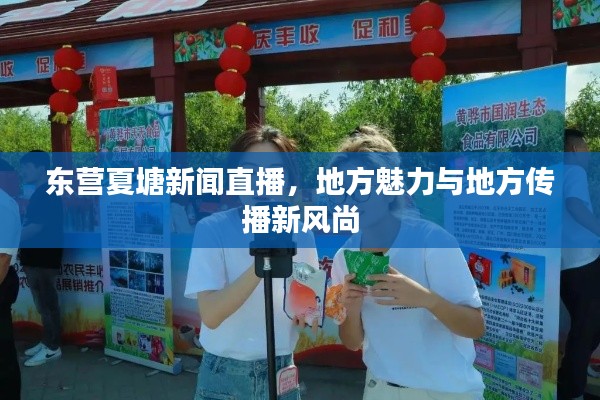 东营夏塘新闻直播，地方魅力与地方传播新风尚