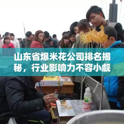 山东省爆米花公司排名揭秘，行业影响力不容小觑！