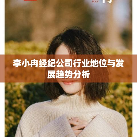 李小冉经纪公司行业地位与发展趋势分析