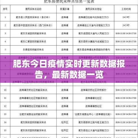 肥东今日疫情实时更新数据报告，最新数据一览
