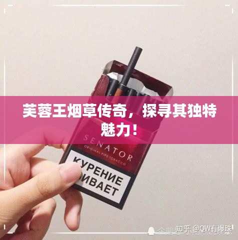 芙蓉王烟草传奇，探寻其独特魅力！