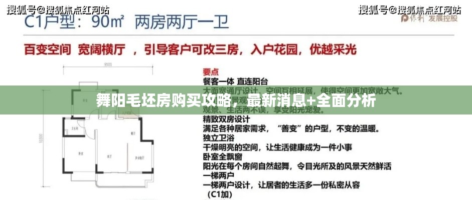 舞阳毛坯房购买攻略，最新消息+全面分析