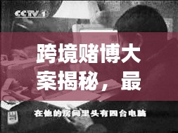 跨境赌博大案揭秘，最新消息震撼曝光