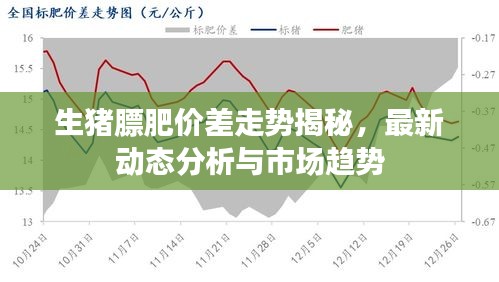 生猪膘肥价差走势揭秘，最新动态分析与市场趋势