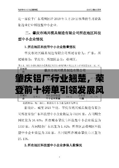 肇庆铝厂行业翘楚，荣登前十榜单引领发展风潮