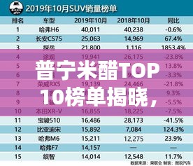 普宁米醋TOP10榜单揭晓，探寻传统酿造技艺之巅