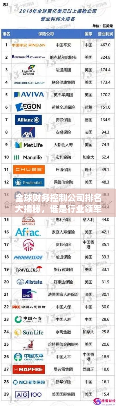 全球财务控制公司排名大揭秘，谁是行业领军者？