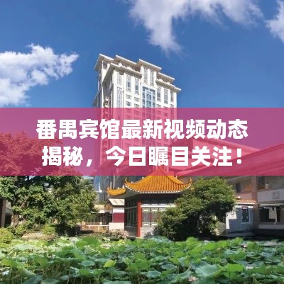 番禺宾馆最新视频动态揭秘，今日瞩目关注！