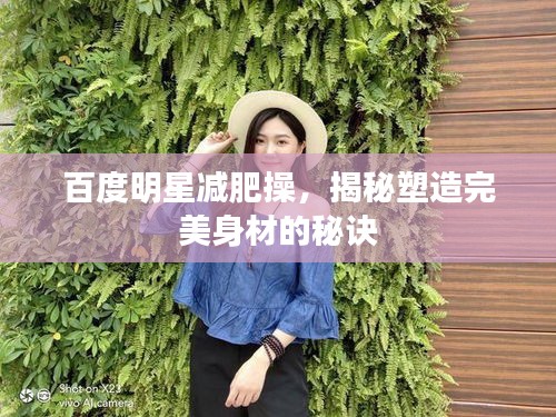 百度明星减肥操，揭秘塑造完美身材的秘诀